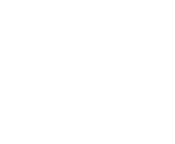 Virtuss-logo-blanco